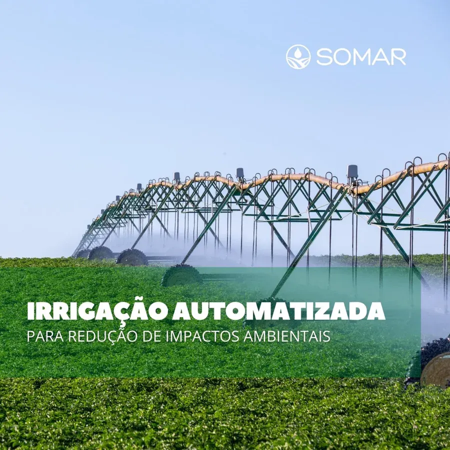 Registro 3 do Instagram da Somar